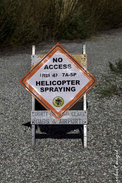 emily renzel wetlands 2026